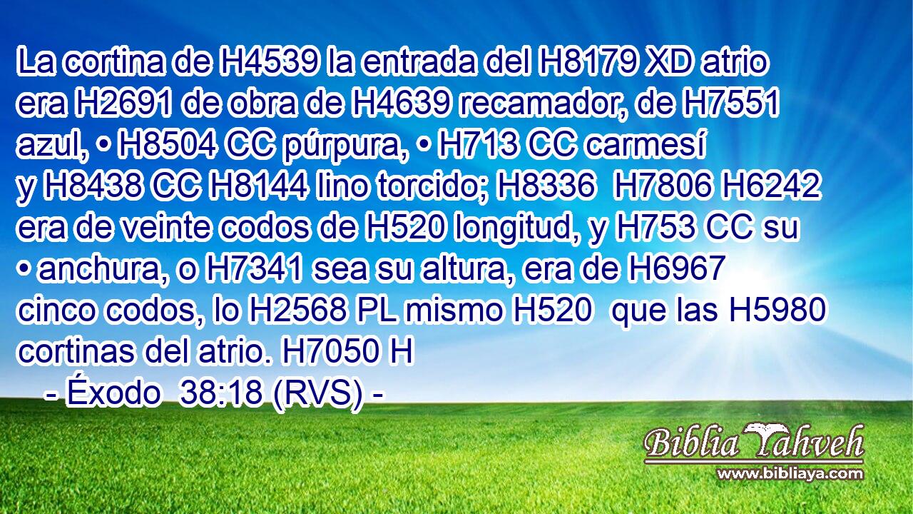 La cortina de H4539 la entrada del H8179 XD atrio era H2691 de obra de H4639 recamador, de H7551 azul, • H8504 CC púrpura, • H713 CC carmesí y H8438 CC H8144 lino torcido; H8336  H7806 H6242 era de veinte codos de H520 longitud, y H753 CC su • anchura, o H7341 sea su altura, era de H6967 cinco codos, lo H2568 PL mismo H520  que las H5980 cortinas del atrio. H7050 H 