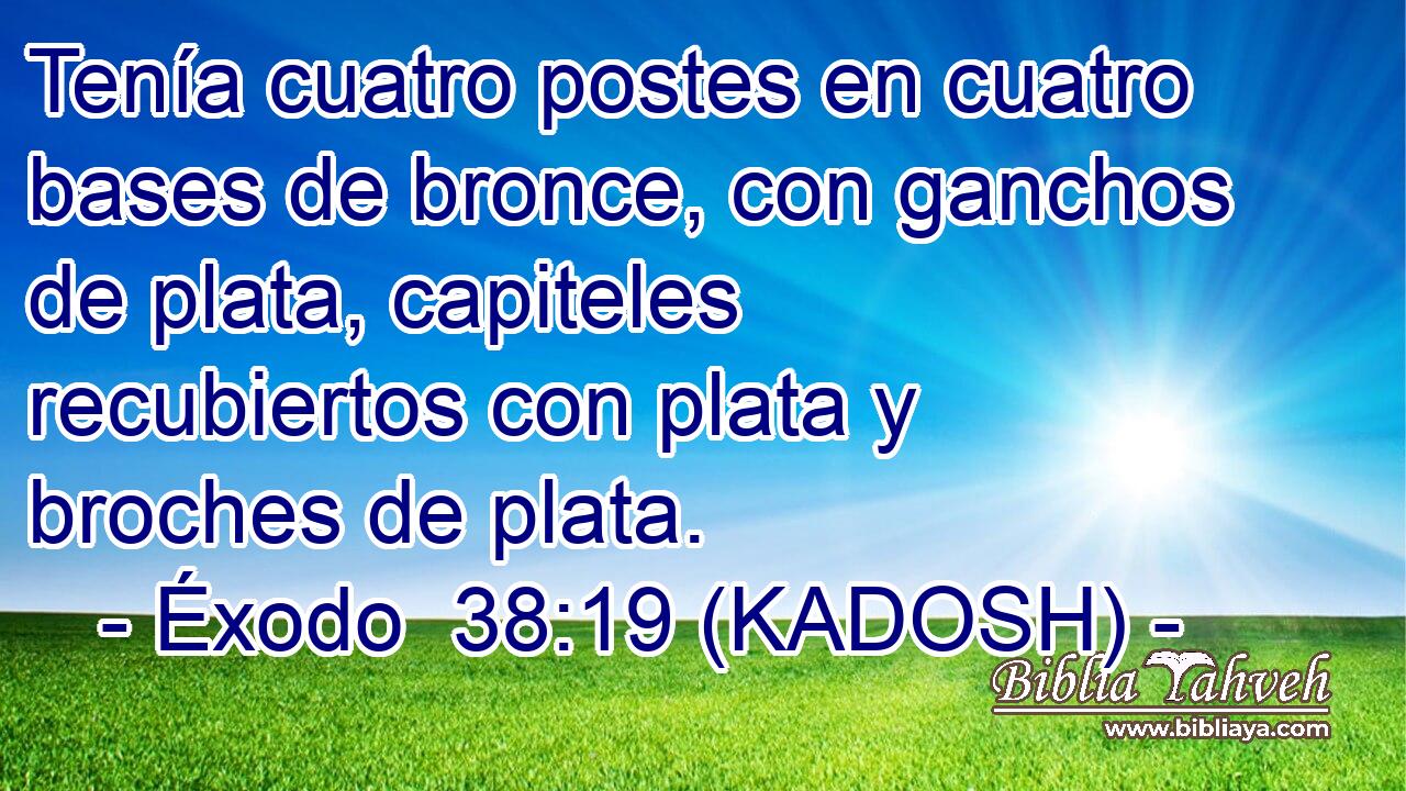  Tenía cuatro postes en cuatro bases de bronce, con ganchos de plata, capiteles recubiertos con plata y broches de plata. 