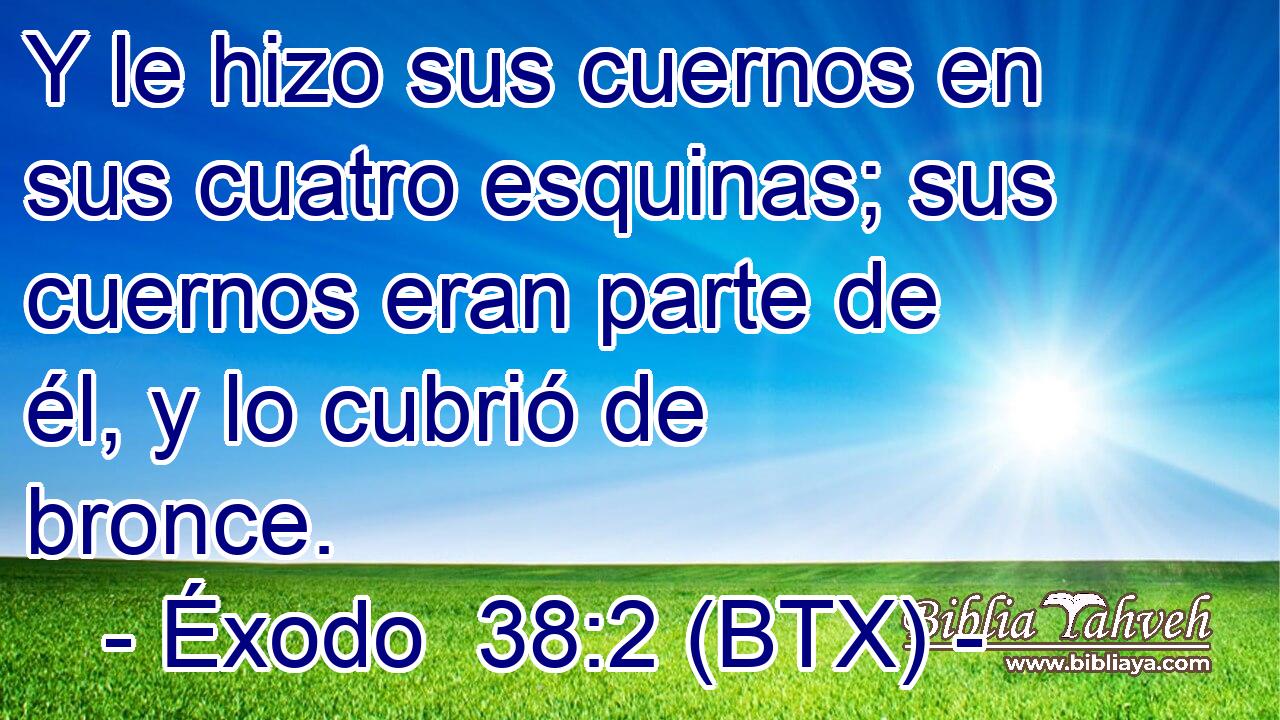 Y le hizo sus cuernos en sus cuatro esquinas; sus cuernos eran parte de él, y lo cubrió de bronce.