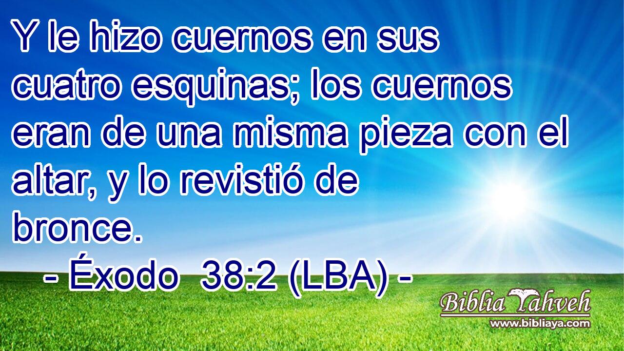 Y le hizo cuernos en sus cuatro esquinas; los cuernos eran de una misma pieza con el altar, y lo revistió de bronce.