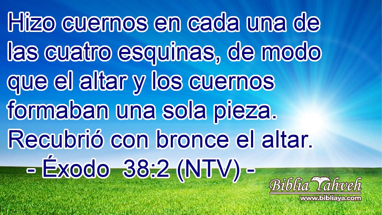 Hizo cuernos en cada una de las cuatro esquinas, de modo que el altar y los cuernos formaban una sola pieza. Recubrió con bronce el altar.