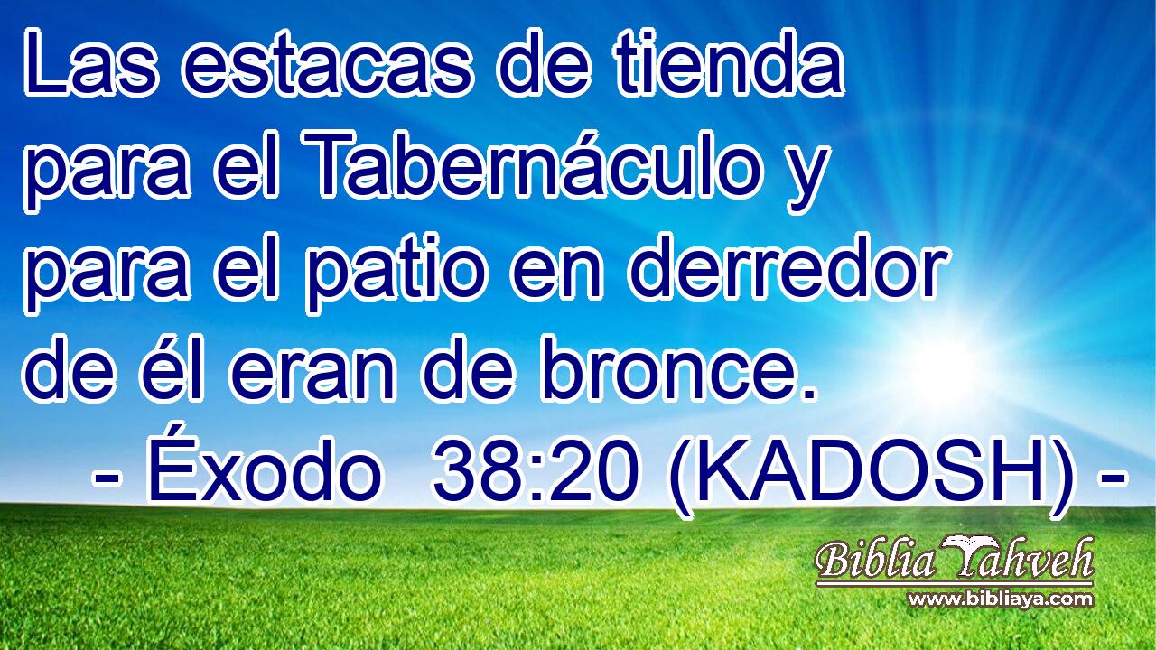 Las estacas de tienda para el Tabernáculo y para el patio en derredor de él eran de bronce. 