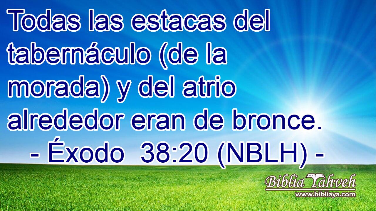  Todas las estacas del tabernáculo (de la morada) y del atrio alrededor eran de bronce. 