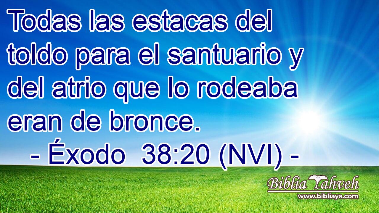  Todas las estacas del toldo para el santuario y del atrio que lo rodeaba eran de bronce. 