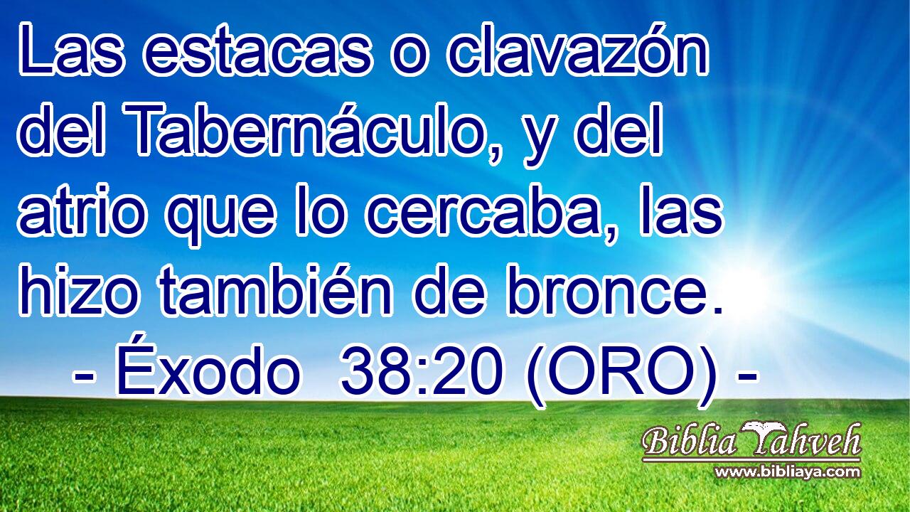  Las estacas o clavazón del Tabernáculo, y del atrio que lo cercaba, las hizo también de bronce. 