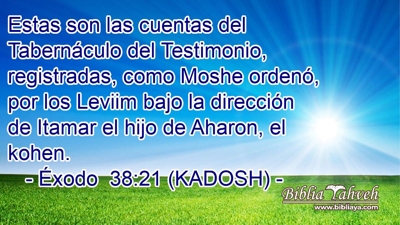  Estas son las cuentas del Tabernáculo del Testimonio, registradas, como Moshe ordenó, por los Leviim bajo la dirección de Itamar el hijo de Aharon, el kohen. 
