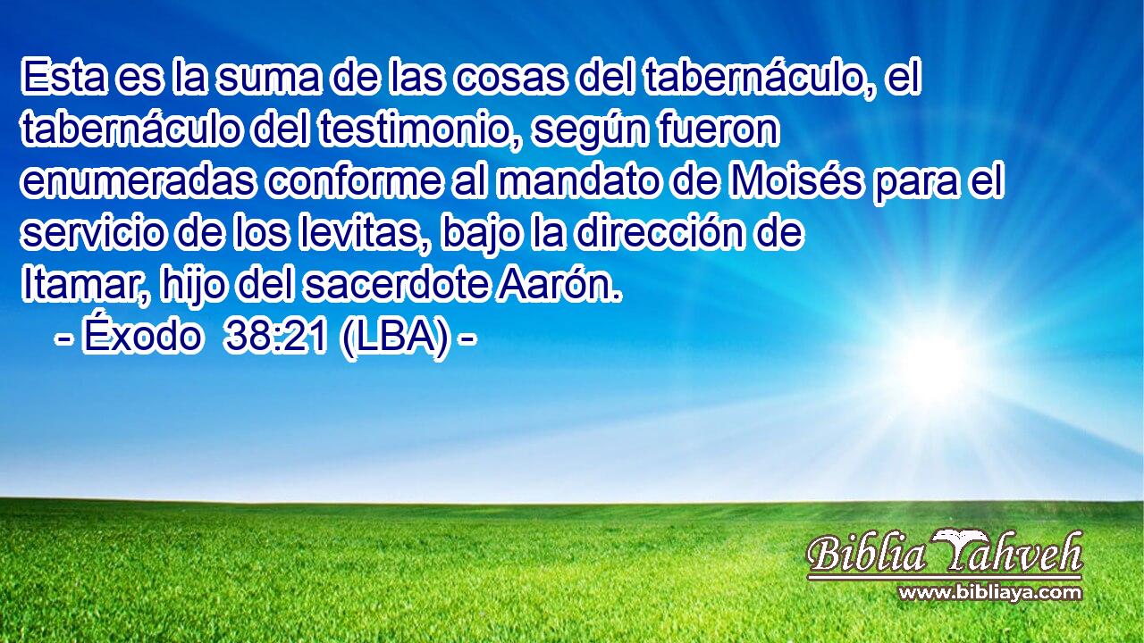 Esta es la suma de las cosas del tabernáculo, el tabernáculo del testimonio, según fueron enumeradas conforme al mandato de Moisés para el servicio de los levitas, bajo la dirección de Itamar, hijo del sacerdote Aarón.