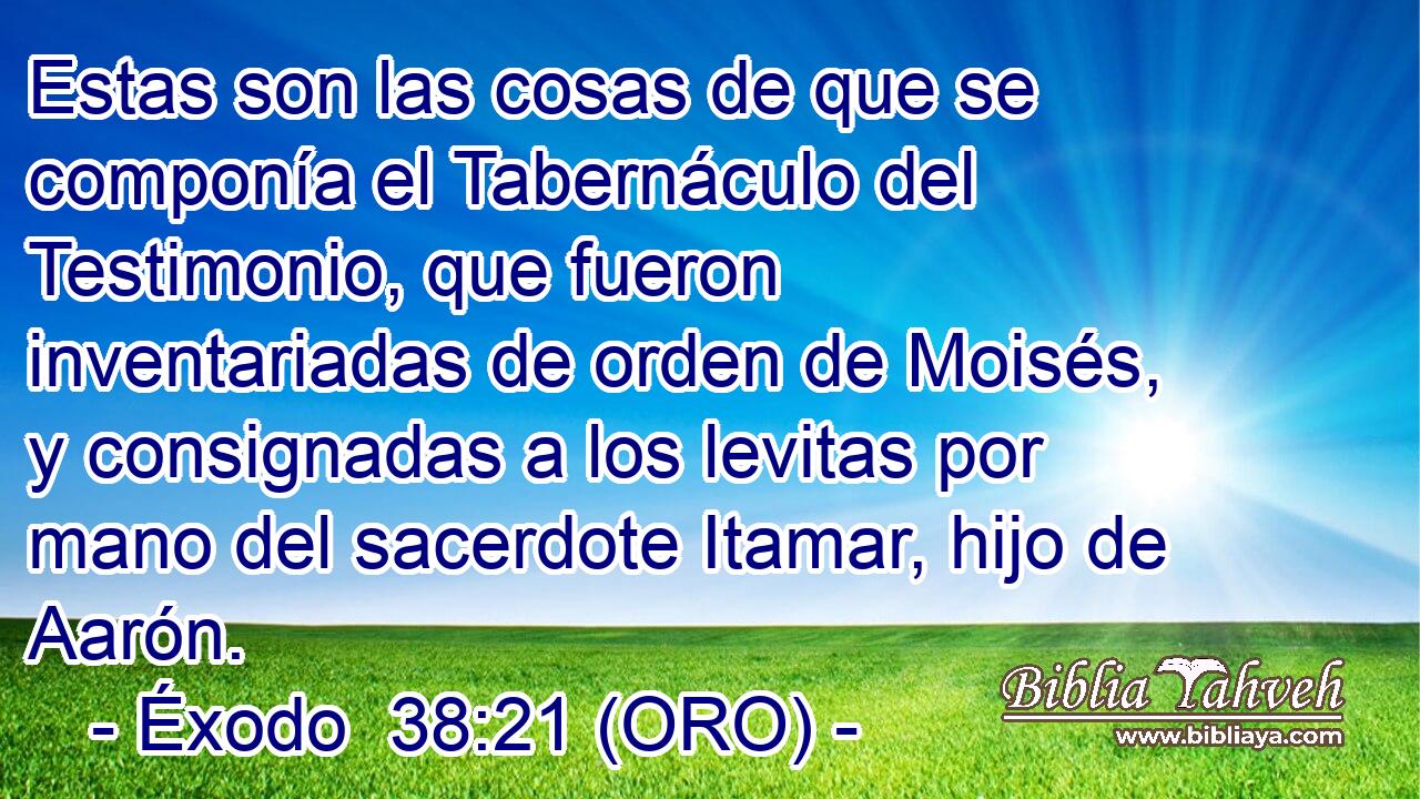  Estas son las cosas de que se componía el Tabernáculo del Testimonio, que fueron inventariadas de orden de Moisés, y consignadas a los levitas por mano del sacerdote Itamar, hijo de Aarón. 