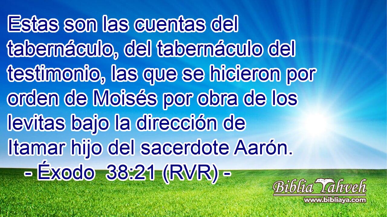 Estas son las cuentas del tabernáculo, del tabernáculo del testimonio, las que se hicieron por orden de Moisés por obra de los levitas bajo la dirección de Itamar hijo del sacerdote Aarón.