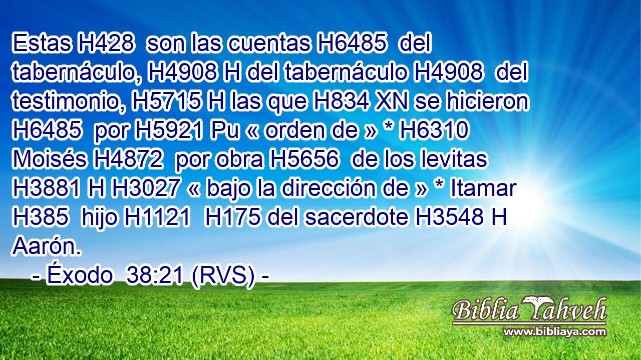 Estas H428  son las cuentas H6485  del tabernáculo, H4908 H del tabernáculo H4908  del testimonio, H5715 H las que H834 XN se hicieron H6485  por H5921 Pu « orden de » * H6310  Moisés H4872  por obra H5656  de los levitas H3881 H H3027 « bajo la dirección de » * Itamar H385  hijo H1121  H175 del sacerdote H3548 H Aarón. 