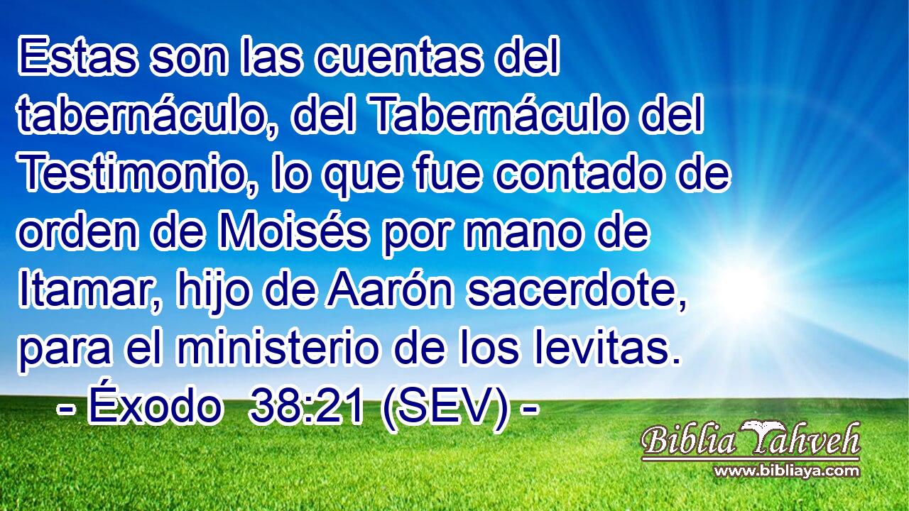 Estas son las cuentas del tabernáculo, del Tabernáculo del Testimonio, lo que fue contado de orden de Moisés por mano de Itamar, hijo de Aarón sacerdote, para el ministerio de los levitas.