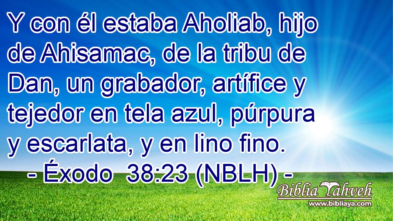  Y con él estaba Aholiab, hijo de Ahisamac, de la tribu de Dan, un grabador, artífice y tejedor en tela azul, púrpura y escarlata, y en lino fino. 