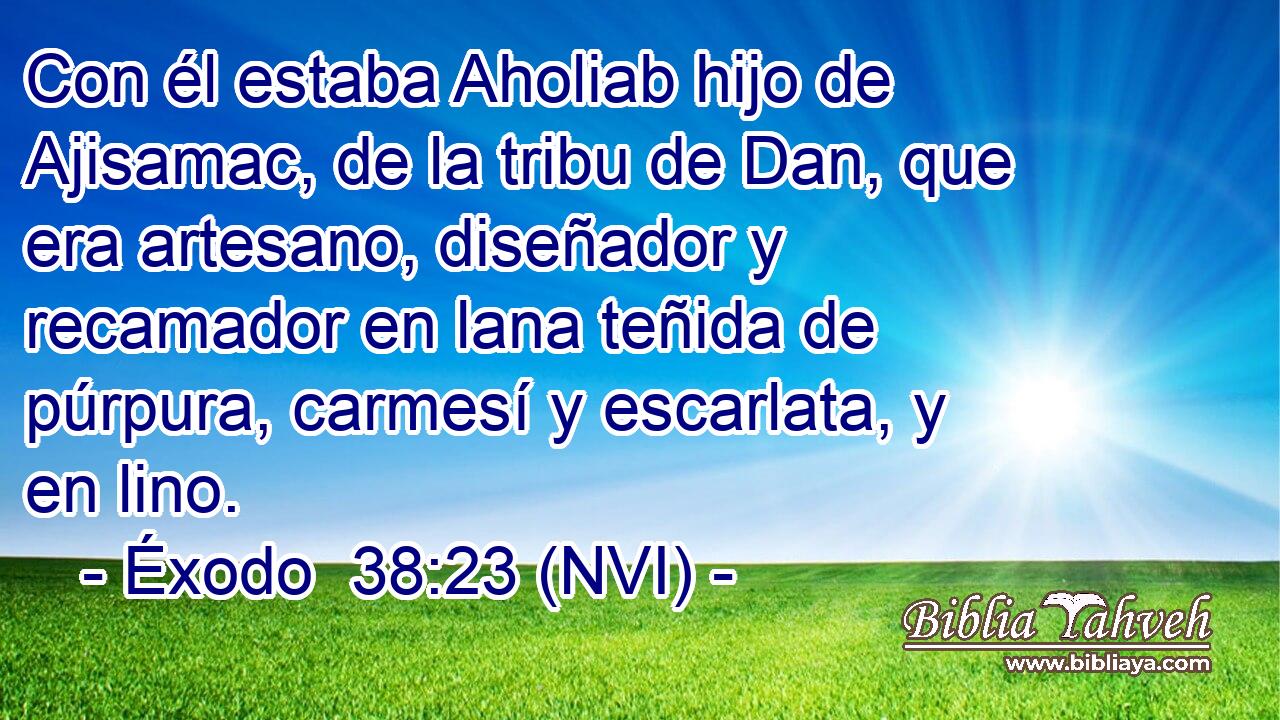  Con él estaba Aholiab hijo de Ajisamac, de la tribu de Dan, que era artesano, diseñador y recamador en lana teñida de púrpura, carmesí y escarlata, y en lino. 