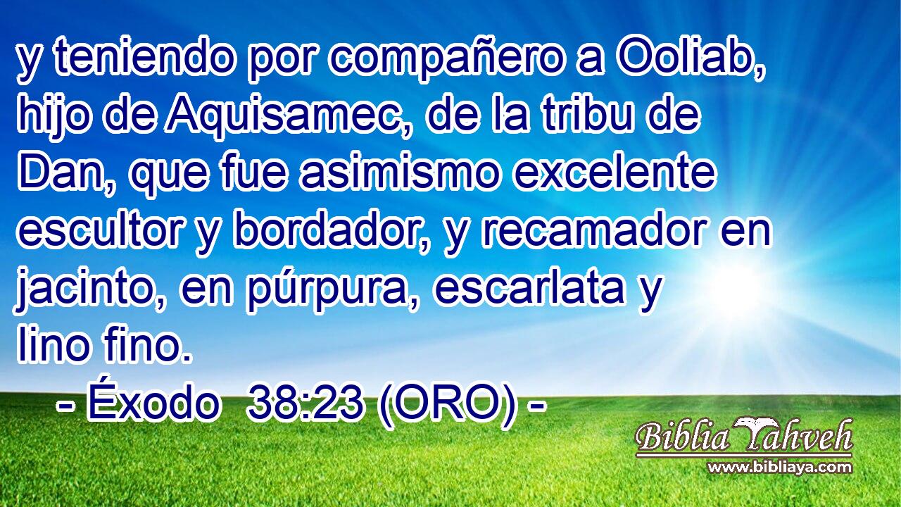  y teniendo por compañero a Ooliab, hijo de Aquisamec, de la tribu de Dan, que fue asimismo excelente escultor y bordador, y recamador en jacinto, en púrpura, escarlata y lino fino. 