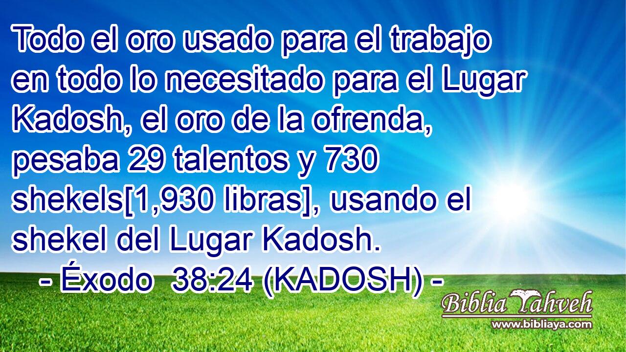  Todo el oro usado para el trabajo en todo lo necesitado para el Lugar Kadosh, el oro de la ofrenda, pesaba 29 talentos y 730 shekels[1,930 libras], usando el shekel del Lugar Kadosh. 
