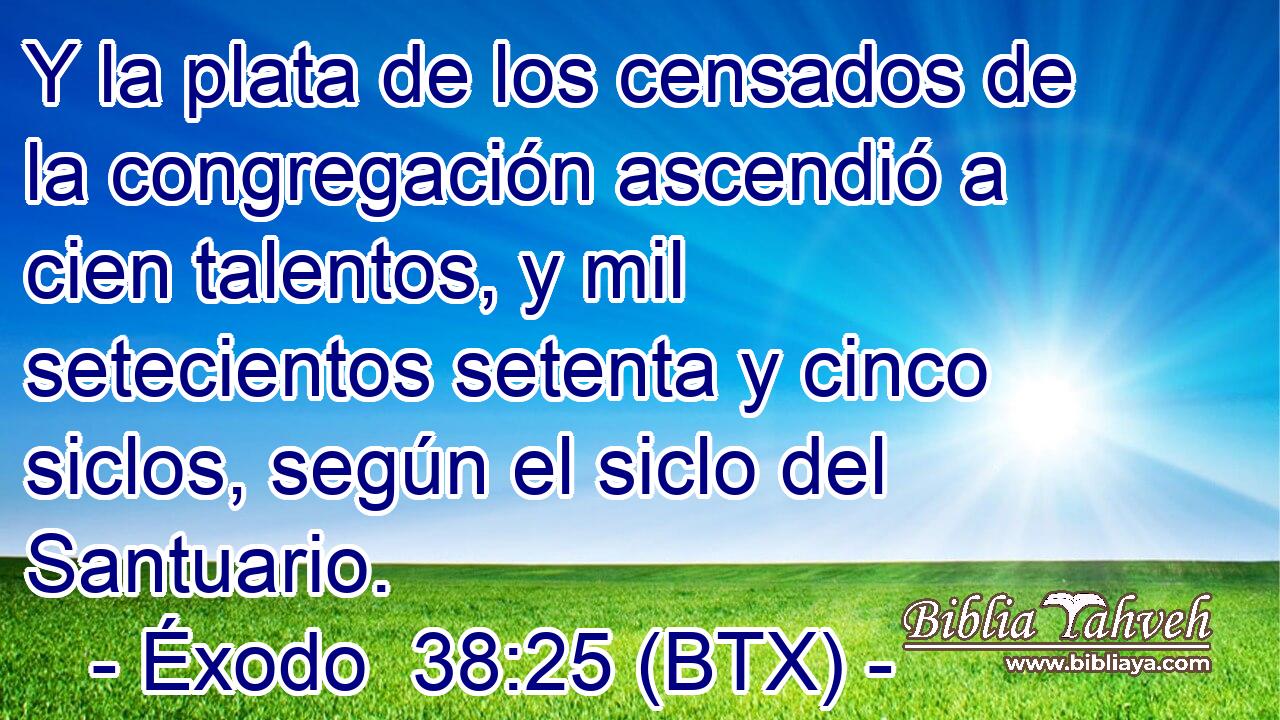 Y la plata de los censados de la congregación ascendió a cien talentos, y mil setecientos setenta y cinco siclos, según el siclo del Santuario.
