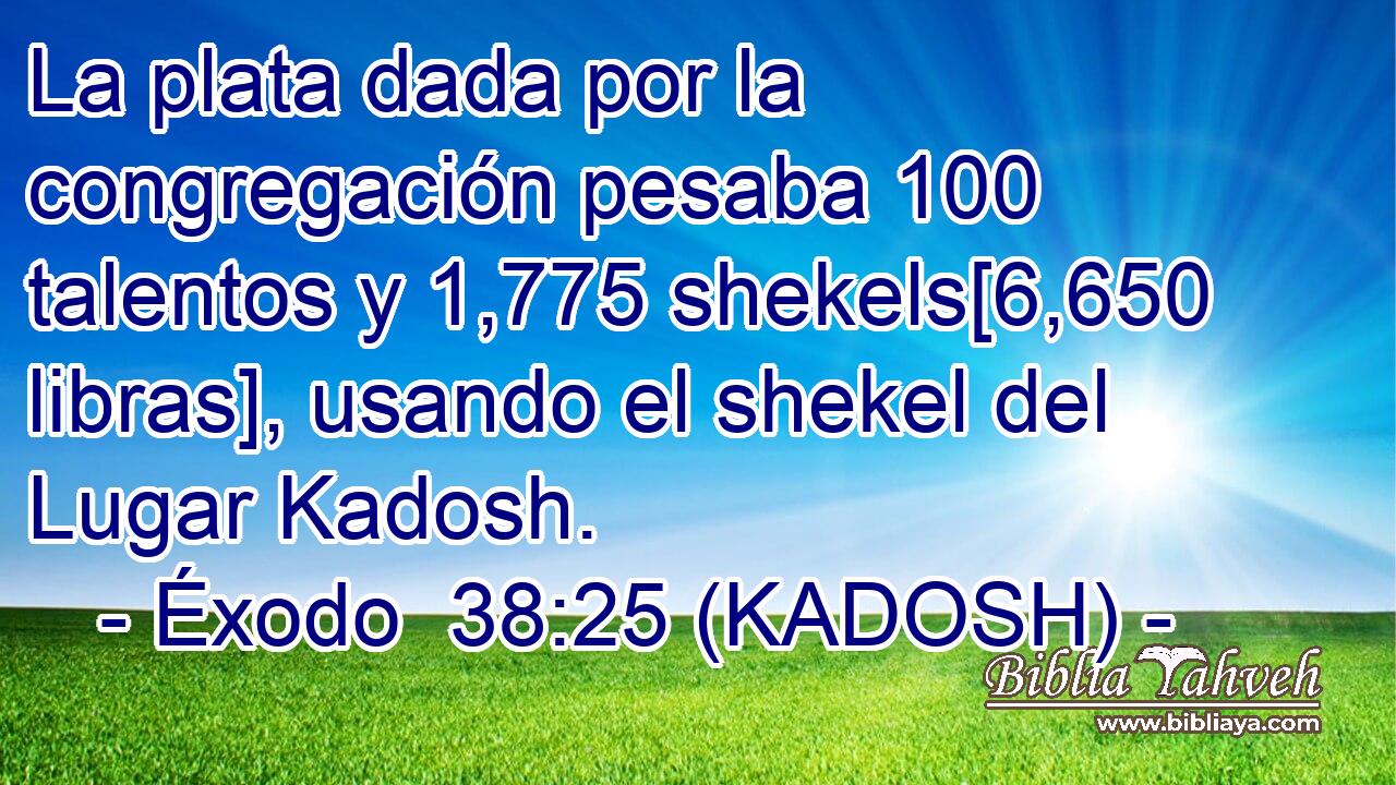  La plata dada por la congregación pesaba 100 talentos y 1,775 shekels[6,650 libras], usando el shekel del Lugar Kadosh. 
