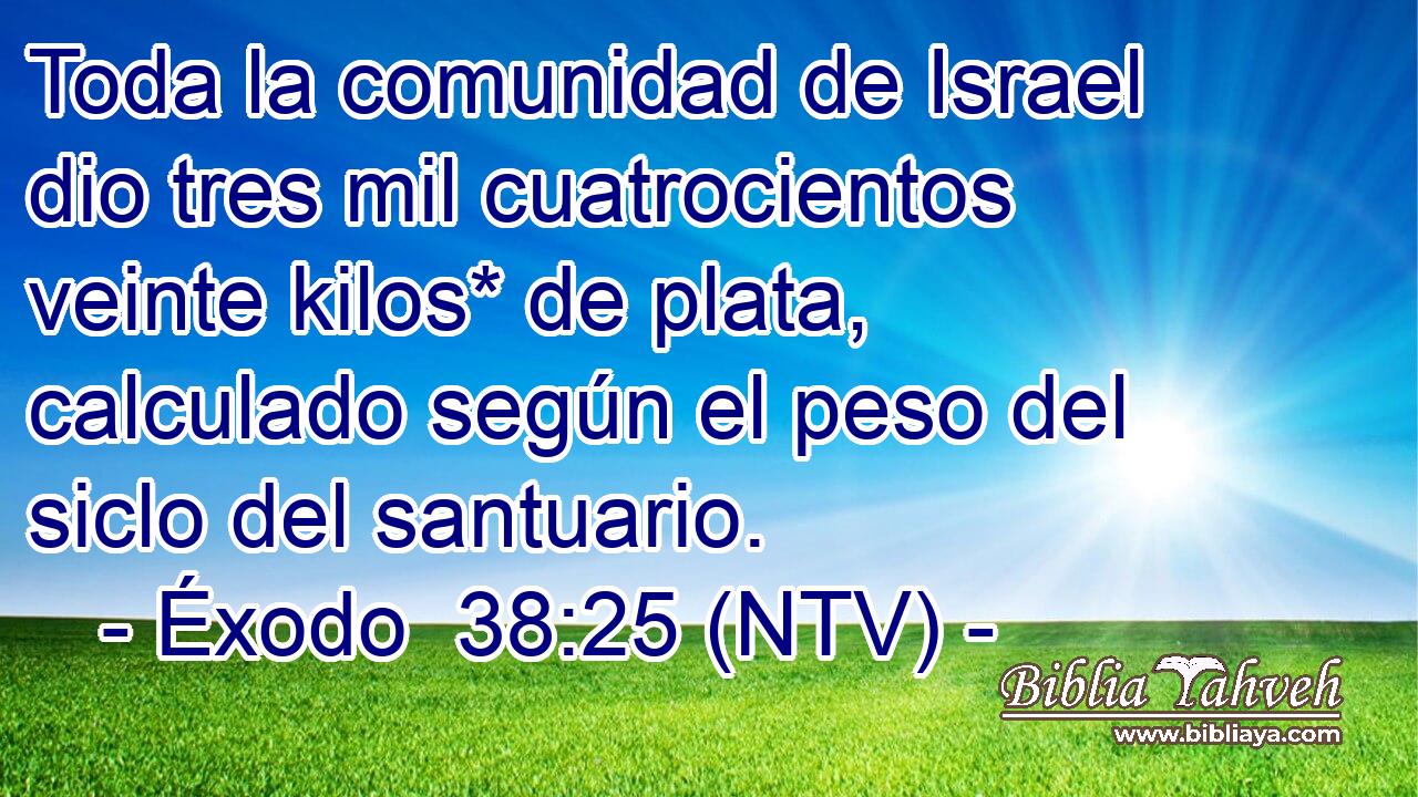Toda la comunidad de Israel dio tres mil cuatrocientos veinte kilos* de plata, calculado según el peso del siclo del santuario.