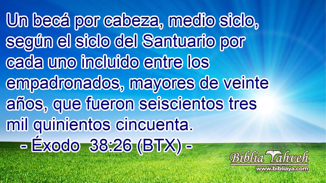 Un becá por cabeza, medio siclo, según el siclo del Santuario por cada uno incluido entre los empadronados, mayores de veinte años, que fueron seiscientos tres mil quinientos cincuenta.