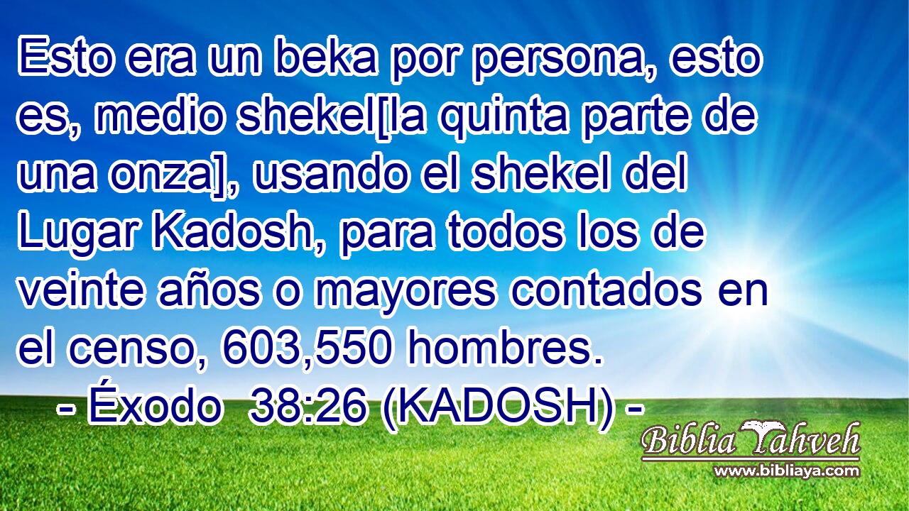  Esto era un beka por persona, esto es, medio shekel[la quinta parte de una onza], usando el shekel del Lugar Kadosh, para todos los de veinte años o mayores contados en el censo, 603,550 hombres. 
