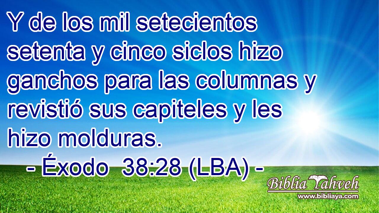 Y de los mil setecientos setenta y cinco siclos hizo ganchos para las columnas y revistió sus capiteles y les hizo molduras.