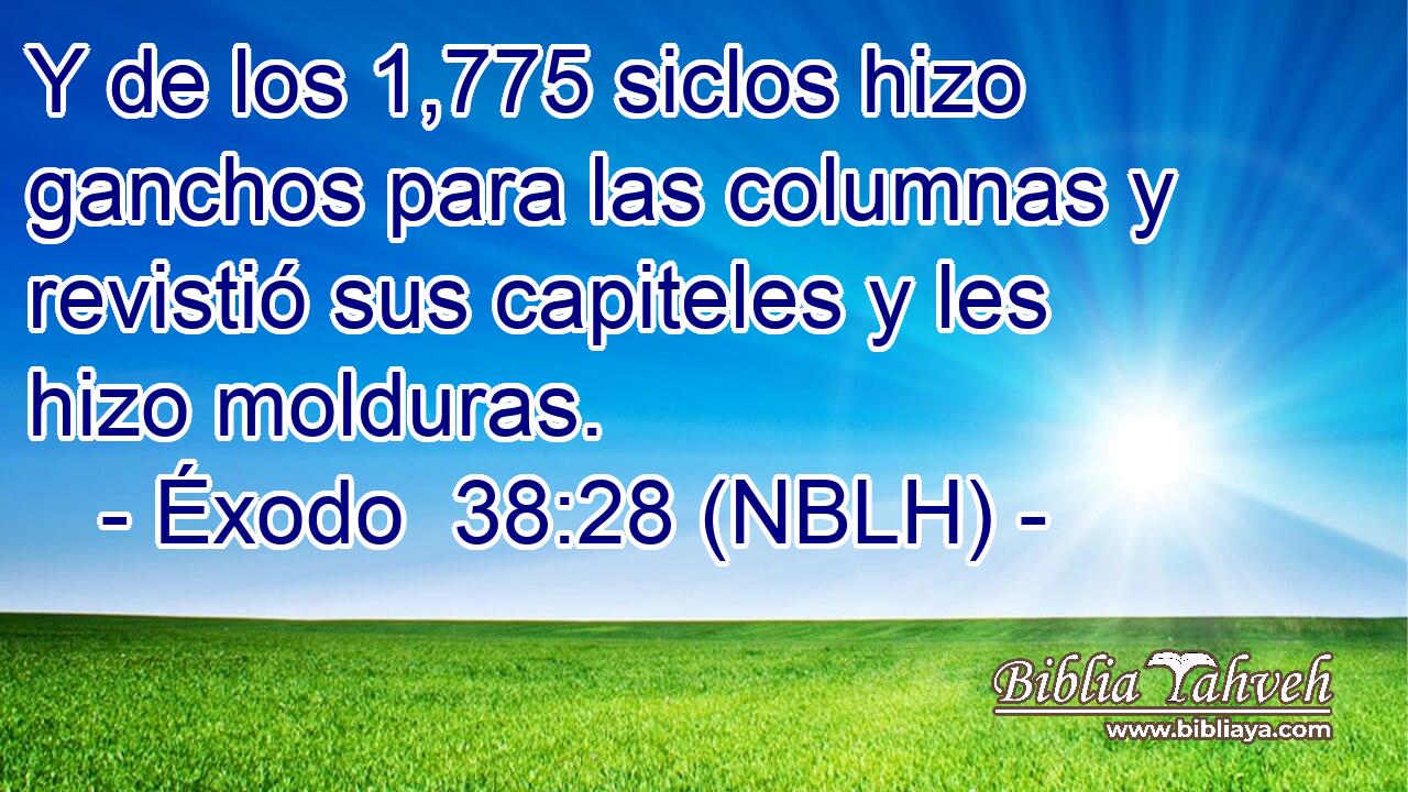  Y de los 1,775 siclos hizo ganchos para las columnas y revistió sus capiteles y les hizo molduras. 