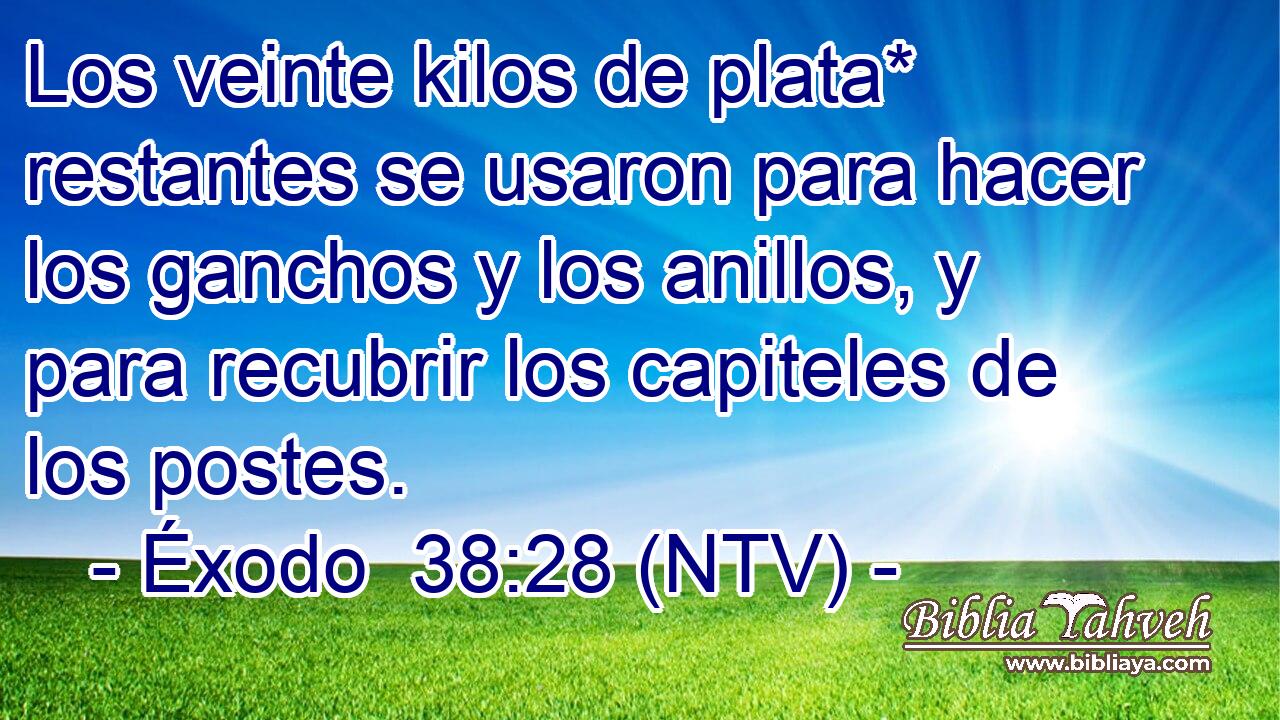 Los veinte kilos de plata* restantes se usaron para hacer los ganchos y los anillos, y para recubrir los capiteles de los postes.