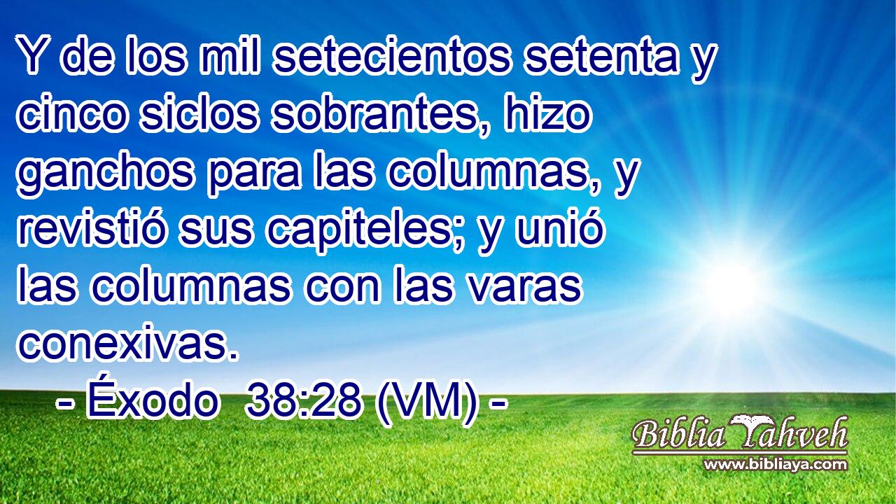  Y de los mil setecientos setenta y cinco siclos sobrantes, hizo ganchos para las columnas, y revistió sus capiteles; y unió las columnas con las varas conexivas. 