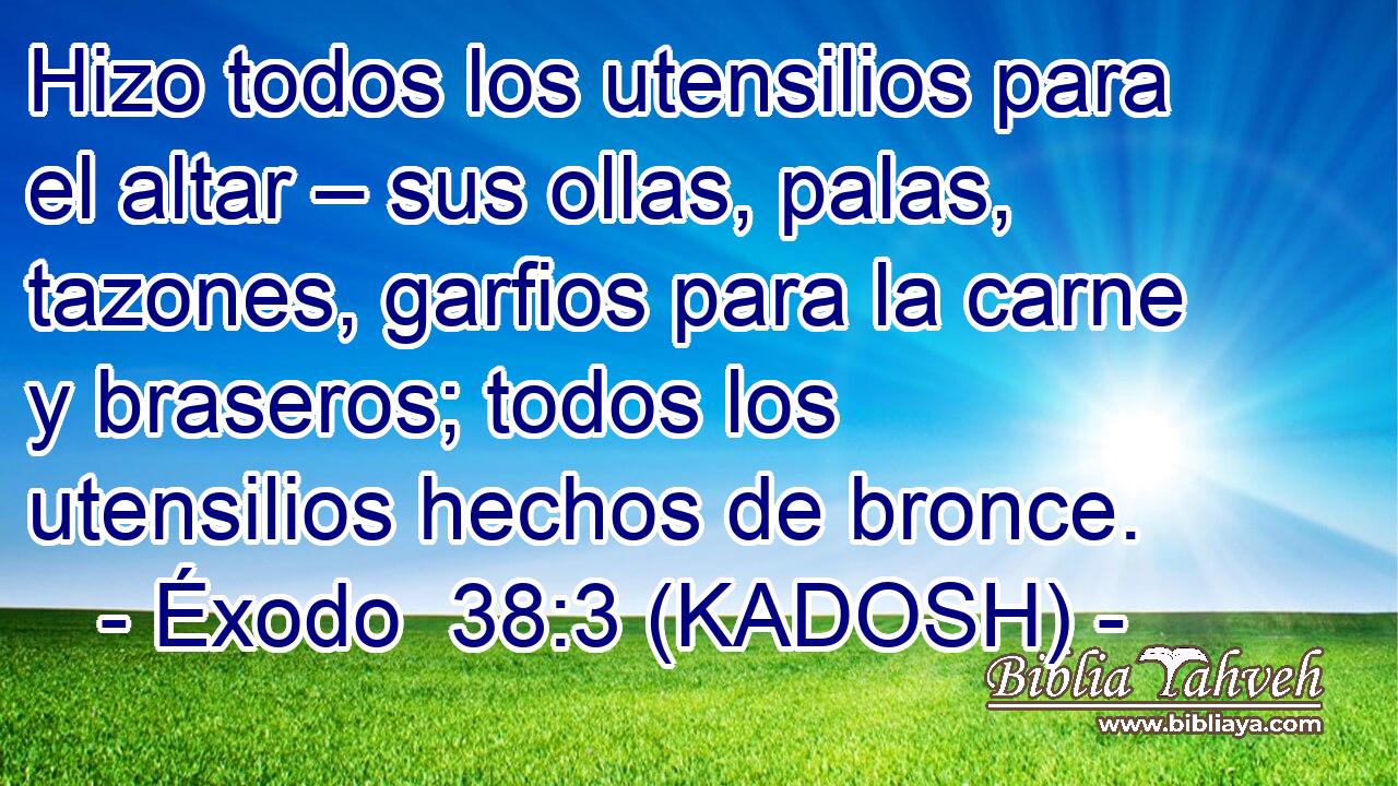  Hizo todos los utensilios para el altar – sus ollas, palas, tazones, garfios para la carne y braseros; todos los utensilios hechos de bronce. 