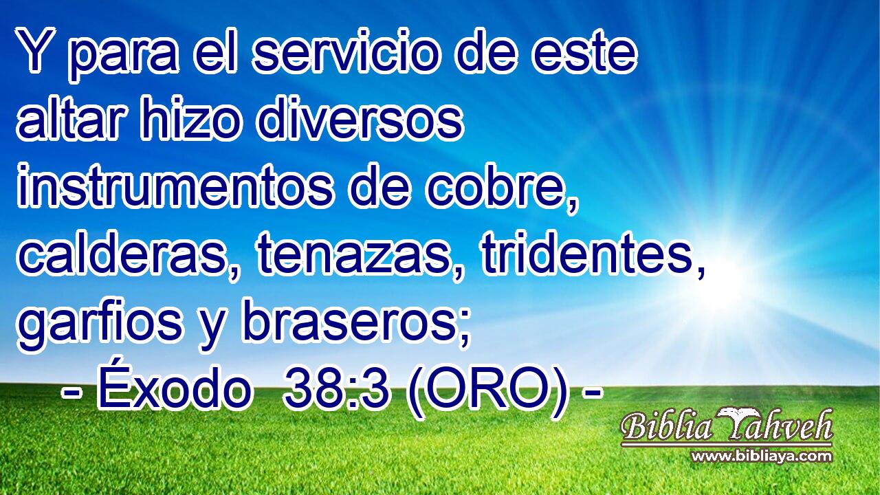  Y para el servicio de este altar hizo diversos instrumentos de cobre, calderas, tenazas, tridentes, garfios y braseros; 