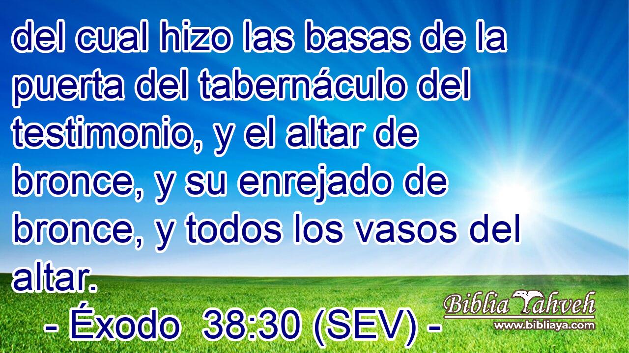 del cual hizo las basas de la puerta del tabernáculo del testimonio, y el altar de bronce, y su enrejado de bronce, y todos los vasos del altar.