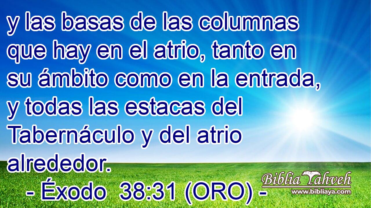  y las basas de las columnas que hay en el atrio, tanto en su ámbito como en la entrada, y todas las estacas del Tabernáculo y del atrio alrededor. 