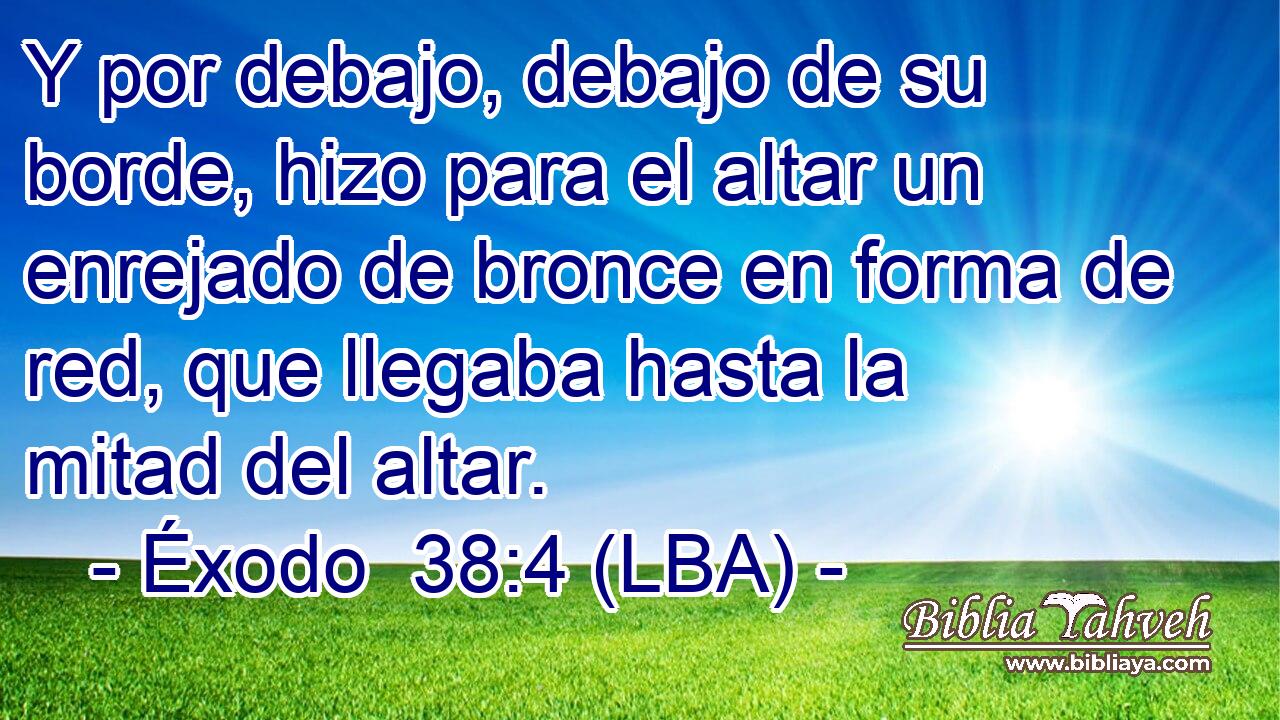 Y por debajo, debajo de su borde, hizo para el altar un enrejado de bronce en forma de red, que llegaba hasta la mitad del altar.
