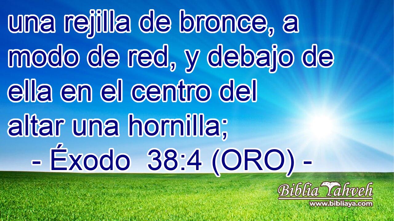  una rejilla de bronce, a modo de red, y debajo de ella en el centro del altar una hornilla; 