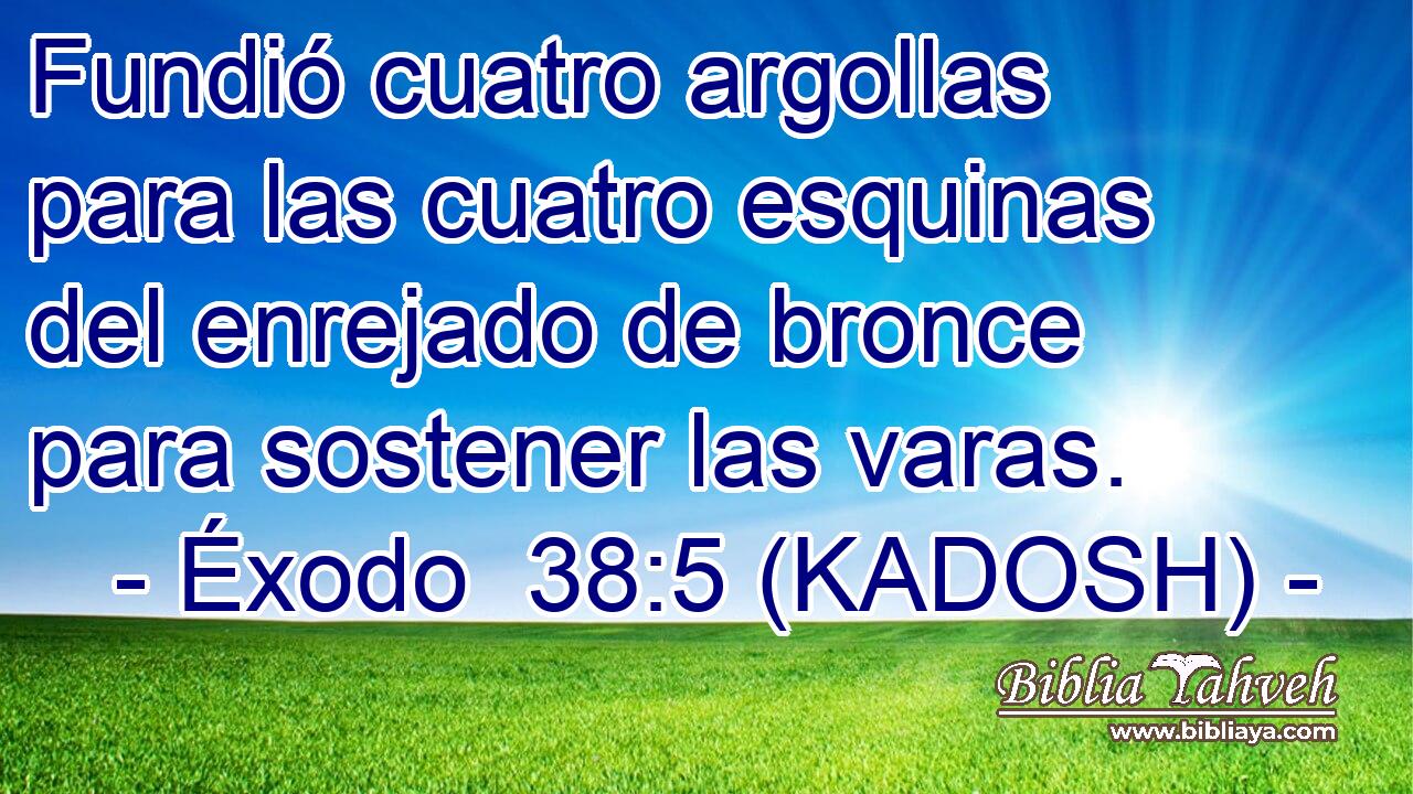  Fundió cuatro argollas para las cuatro esquinas del enrejado de bronce para sostener las varas. 