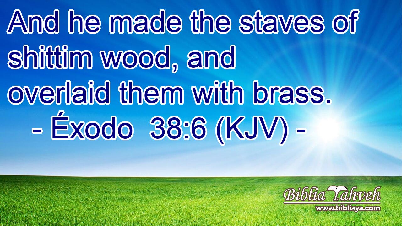 And he made the staves of shittim wood, and overlaid them with brass.