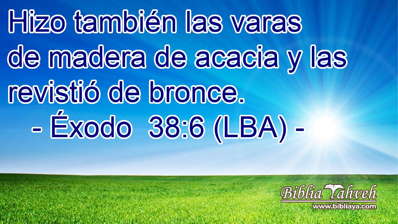 Hizo también las varas de madera de acacia y las revistió de bronce.