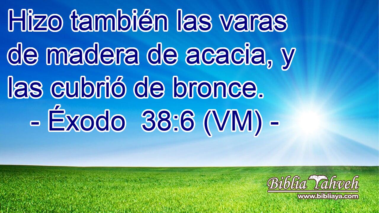  Hizo también las varas de madera de acacia, y las cubrió de bronce. 