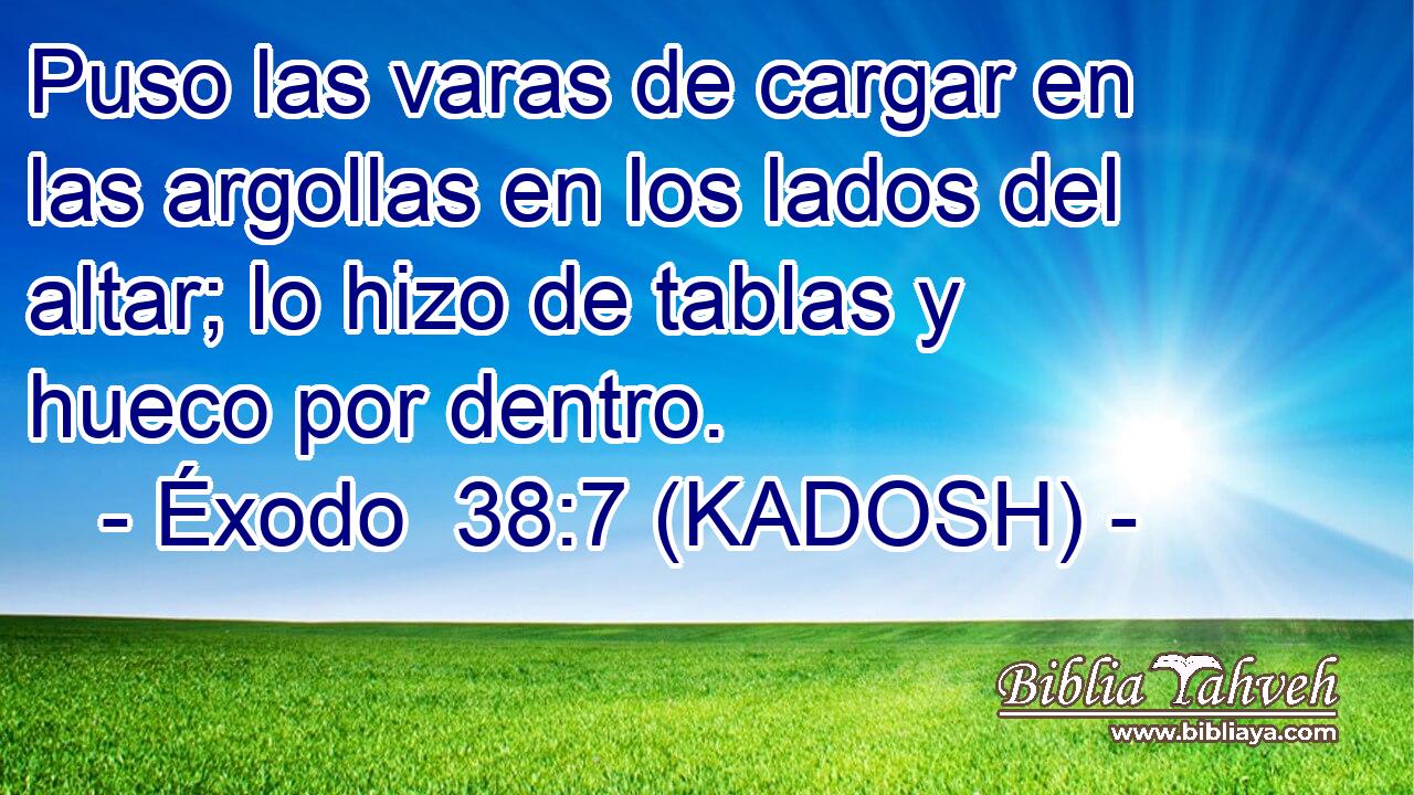  Puso las varas de cargar en las argollas en los lados del altar; lo hizo de tablas y hueco por dentro. 