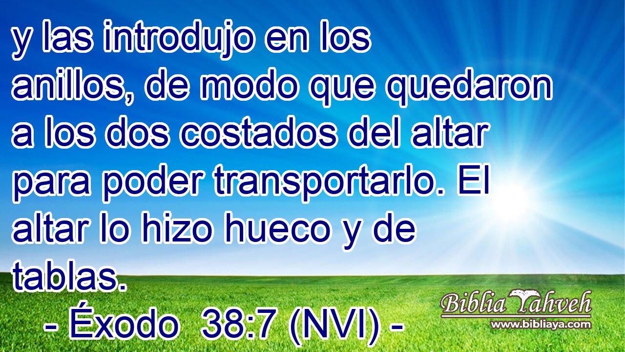  y las introdujo en los anillos, de modo que quedaron a los dos costados del altar para poder transportarlo. El altar lo hizo hueco y de tablas. 