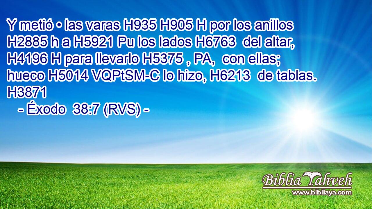 Y metió • las varas H935 H905 H por los anillos H2885 h a H5921 Pu los lados H6763  del altar, H4196 H para llevarlo H5375 , PA,  con ellas; hueco H5014 VQPtSM-C lo hizo, H6213  de tablas. H3871  