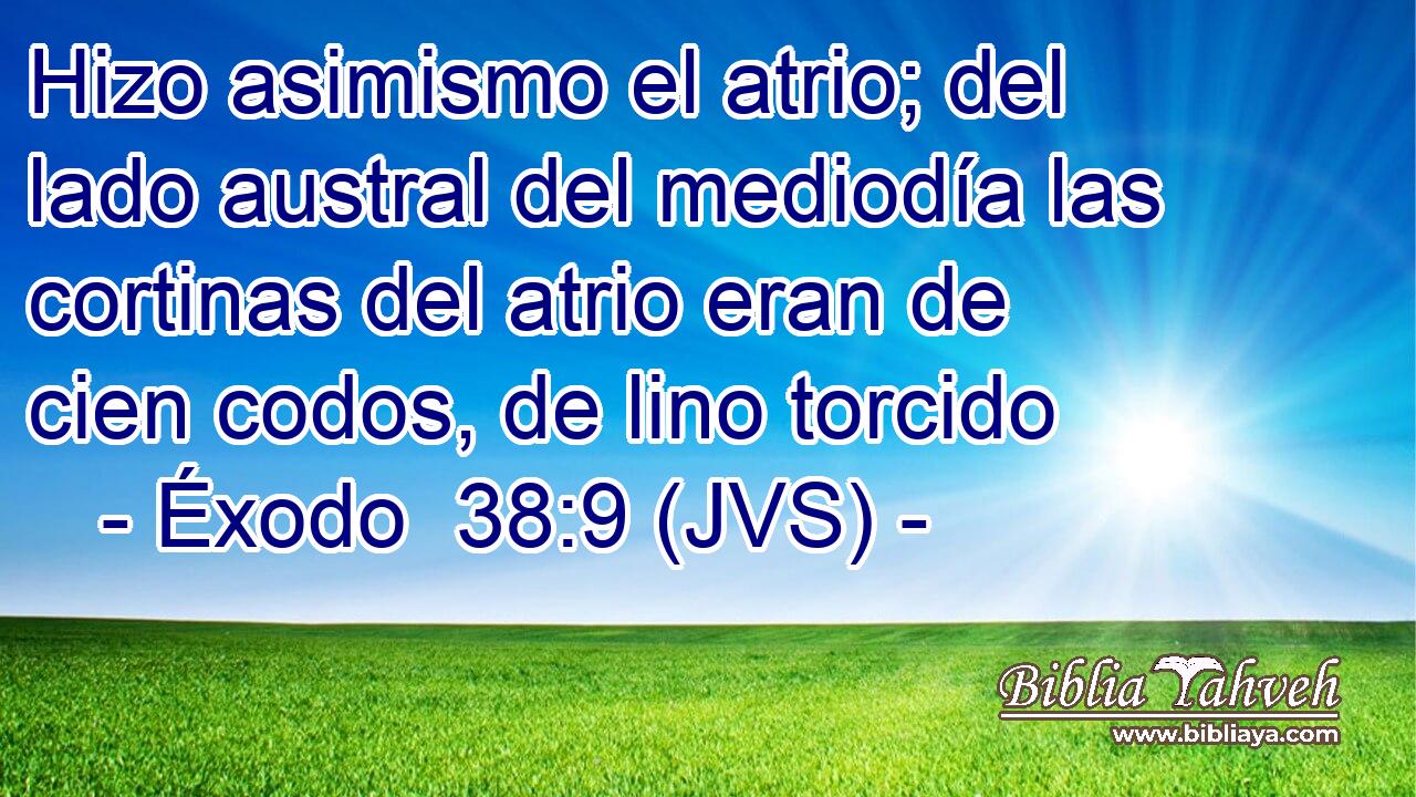 Hizo asimismo el atrio; del lado austral del mediodía las cortinas del atrio eran de cien codos, de lino torcido