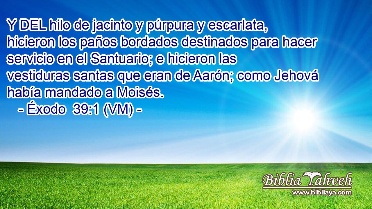  Y DEL hilo de jacinto y púrpura y escarlata, hicieron los paños bordados destinados para hacer servicio en el Santuario; e hicieron las vestiduras santas que eran de Aarón; como Jehová había mandado a Moisés. 