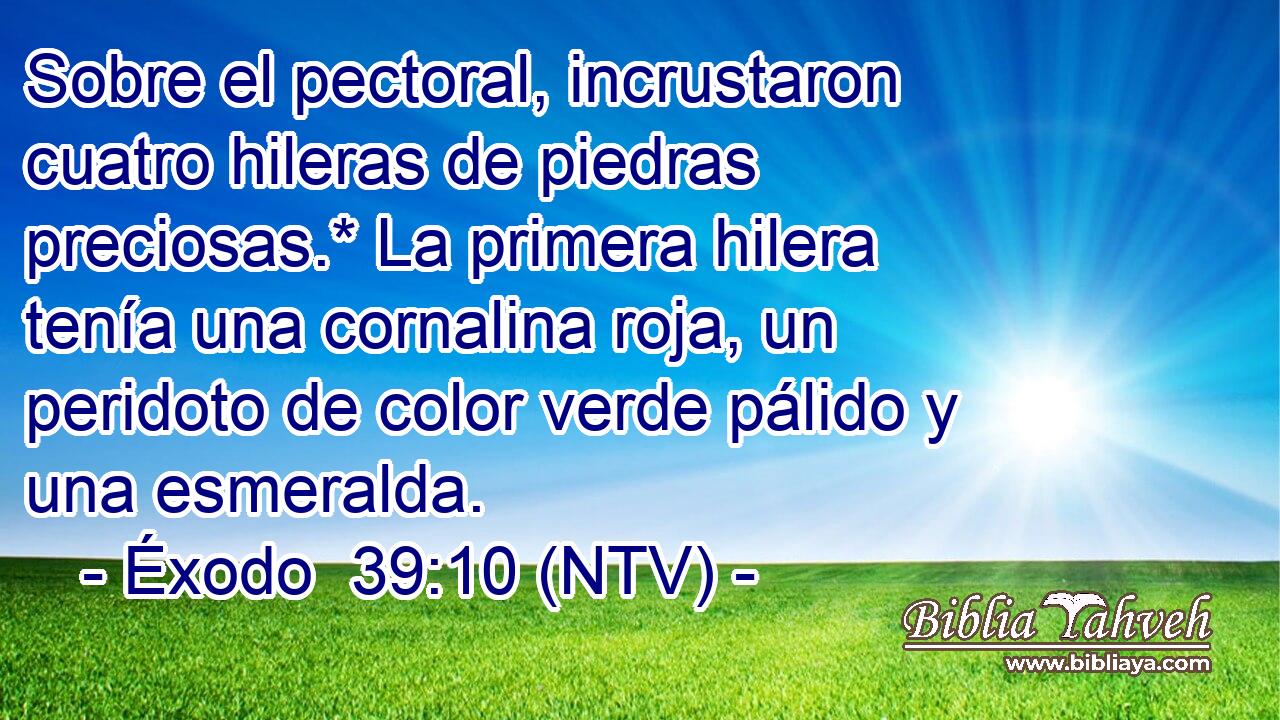 Sobre el pectoral, incrustaron cuatro hileras de piedras preciosas.* La primera hilera tenía una cornalina roja, un peridoto de color verde pálido y una esmeralda.