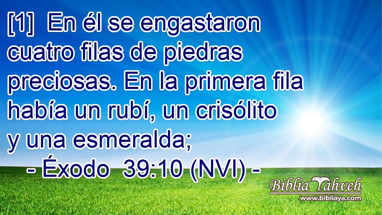  [1]  En él se engastaron cuatro filas de piedras preciosas. En la primera fila había un rubí, un crisólito y una esmeralda; 