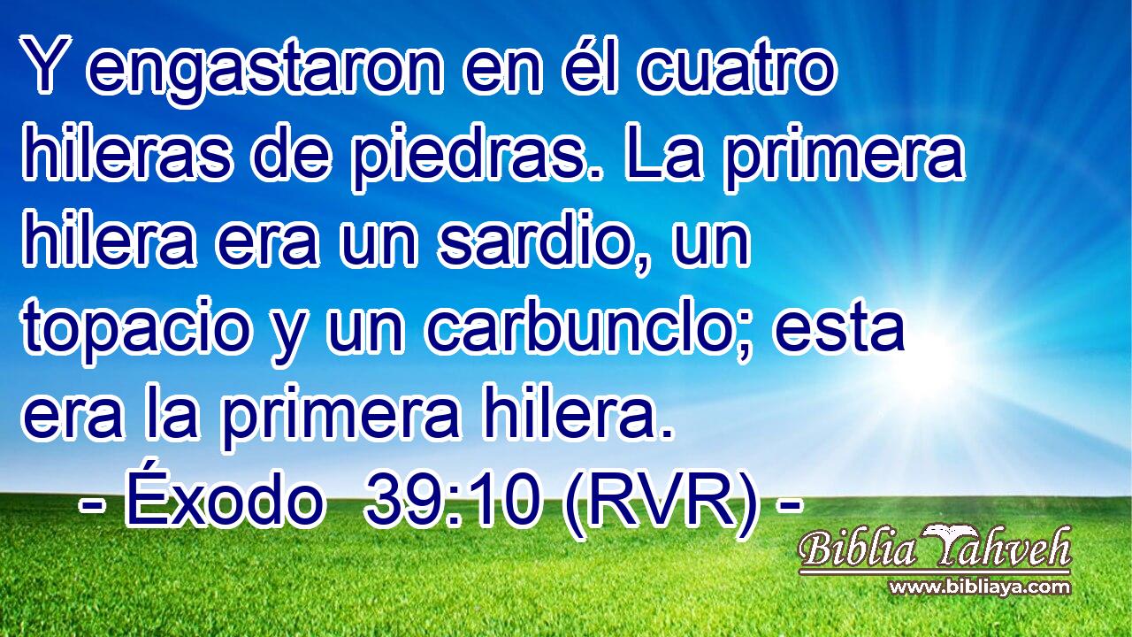 Y engastaron en él cuatro hileras de piedras. La primera hilera era un sardio, un topacio y un carbunclo; esta era la primera hilera.
