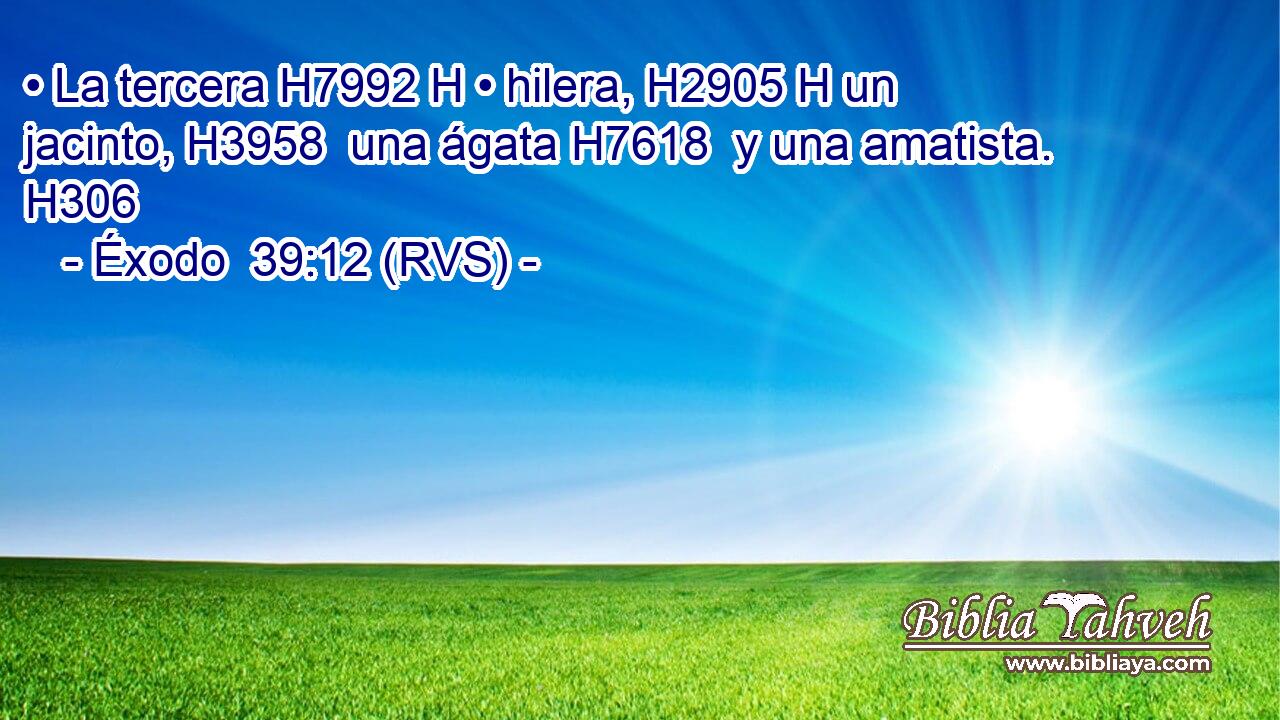 • La tercera H7992 H • hilera, H2905 H un jacinto, H3958  una ágata H7618  y una amatista. H306  