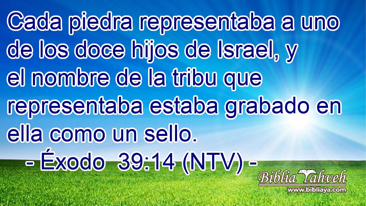 Cada piedra representaba a uno de los doce hijos de Israel, y el nombre de la tribu que representaba estaba grabado en ella como un sello.