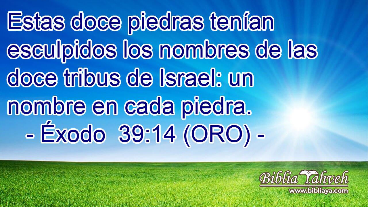  Estas doce piedras tenían esculpidos los nombres de las doce tribus de Israel: un nombre en cada piedra. 