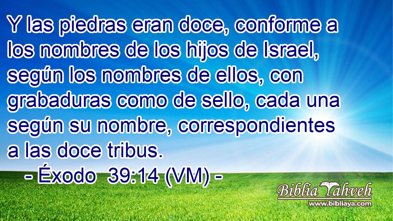  Y las piedras eran doce, conforme a los nombres de los hijos de Israel, según los nombres de ellos, con grabaduras como de sello, cada una según su nombre, correspondientes a las doce tribus. 